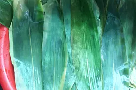 粽子叶这样处理后，包的粽子才清香，可惜很多人都不知道视频封面