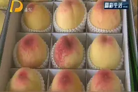南汇水蜜桃早熟品种提前上市视频封面