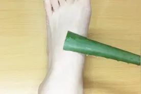 把芦荟涂抹脚上，很多人不懂这样用，看完视频你会感谢我的视频封面