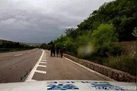 4头毛驴闯进太佳高速，警车尾随3公里安全驱离图片