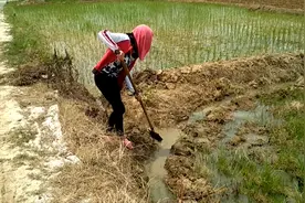 农村水渠来水了，家家户户忙着抽水放水，希望有个好收成
