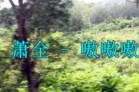 萧全新歌，一首《嗷嗷嗷》好听至极，劲爆的节奏一听就上瘾！