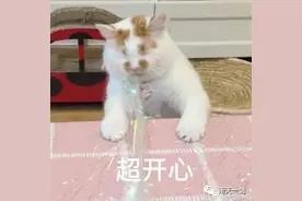享有公办教师同等待遇！广西特岗教师招8000多人，部分无笔试！图片