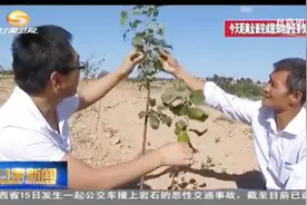 甘肃：特色产业“杠杆”撬动贫困地区拔“穷根”视频封面