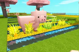 迷你世界 西熊高级生存65 这只猪在熊哥麦田拉便便被西西发现