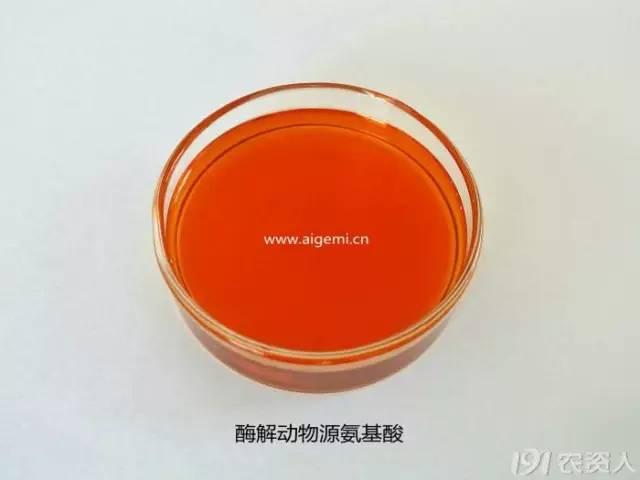 关于氨基酸的4大知识点