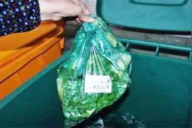 送朋友一袋水果，后来看见她扔进垃圾桶，问明原因我心如刀割视频封面