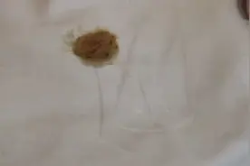 衣服上再顽固的血渍，用它一洗就掉，没有一点痕迹，赶快试一试视频封面