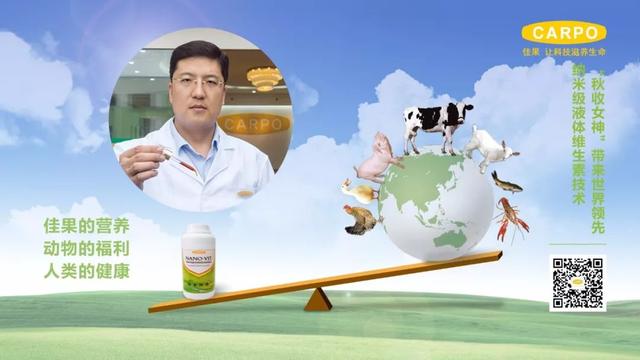 增产？抗应激？纳米液体复合维生素——奶牛维生素缺乏症的福音