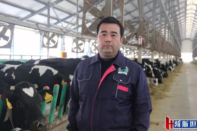 增产？抗应激？纳米液体复合维生素——奶牛维生素缺乏症的福音