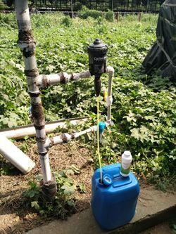 增产？抗应激？纳米液体复合维生素——奶牛维生素缺乏症的福音