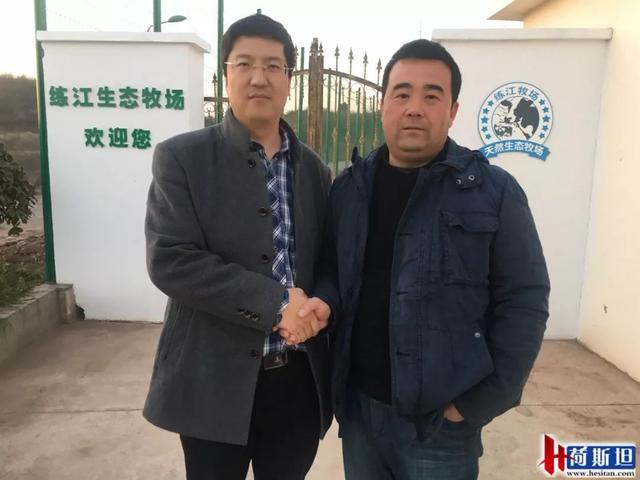 增产？抗应激？纳米液体复合维生素——奶牛维生素缺乏症的福音