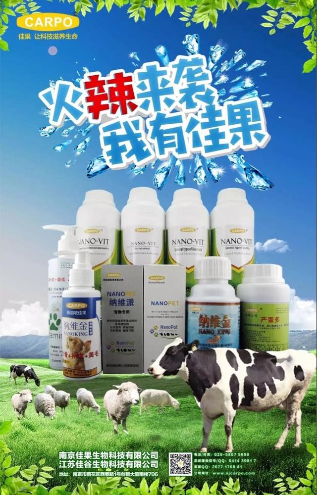 增产？抗应激？纳米液体复合维生素——奶牛维生素缺乏症的福音