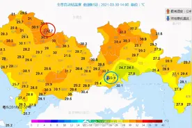 3起森林火灾起火原因查明！南山公园森林火灾系人为纵火图片
