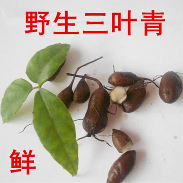 这味药清热解毒、祛风化痰、活血止痛，还能抗肿瘤！