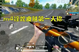 刺激战场狠心入手M4蝰蛇皮肤，第一人称让我觉得美元没白花视频封面