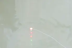 钓鱼没有鱼线，直接用棉线钓鱼，能钓到吗？