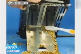 生活小技巧：快速取下胶黏挂钩 牙膏去除厨房油污视频封面