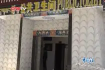 西藏推行“厕所革命”：民众告别“野厕”如厕实现方便洁净视频封面