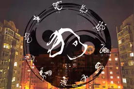 难以置信！不同的生肖居然要住不同的楼层！视频封面