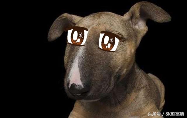 facebook新ai程序让闭眼照睁眼:美秀秀,你是不是也该做点什么