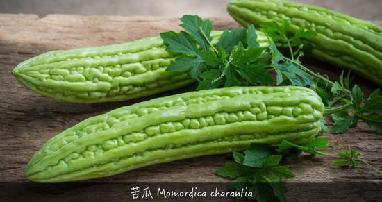 植物带给人的新鲜感受 甜酸苦咸鲜肥 麻辣鲜香