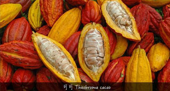 植物带给人的新鲜感受 甜酸苦咸鲜肥 麻辣鲜香