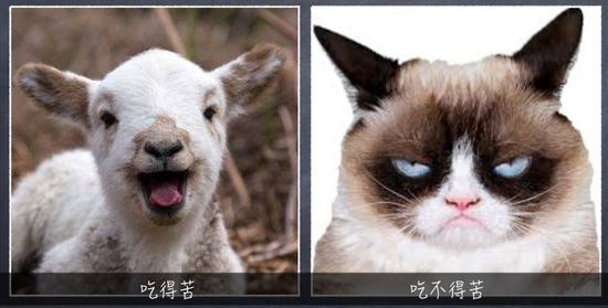 植物带给人的新鲜感受 甜酸苦咸鲜肥 麻辣鲜香