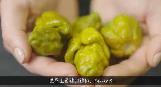 植物带给人的新鲜感受 甜酸苦咸鲜肥 麻辣鲜香
