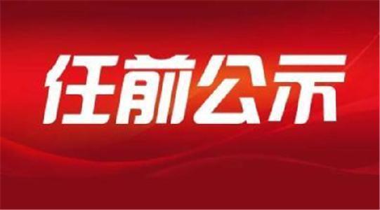丽水网站建设公司（丽水市拟提拔任用市管领导干部任前公示通告）