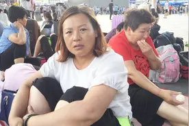 河南大姐领着60多人去新疆摘枸杞，1公斤能挣2块多视频封面