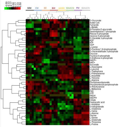 ms优化超胞（谷氨酸棒杆菌代谢组研究取得进展）