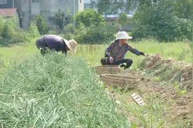 福利！50亿补贴6月30日之前发放到位，你可能是下一个幸运儿…….视频封面