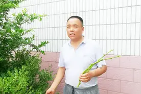山东寿光，没有滞销的蔬菜，这是真的吗？大叔谈寿光蔬菜！视频封面