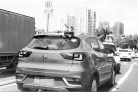 “蜘蛛侠”蹲坐车顶惹人注目 海口交警：车顶装玩偶属违法行为，易生意外还要被罚图片