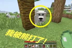 我的世界：多模组生存1，我被熊给欺负了，好痛啊！