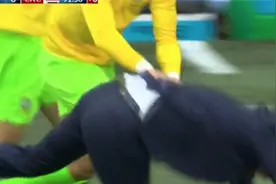 世界杯E组第二轮·巴西主帅蒂特激情庆祝 上演搞笑一摔视频封面