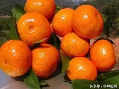 「权威发布」每周食药黑榜·第42期：竟有这么多家常菜原料！