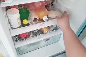 把大米放在冰箱里面，这个作用确实厉害，隔壁姐姐看了都夸我能干视频封面