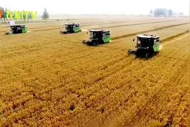 联合收割机收益下滑严重，跨区作业是否已经走到末路？