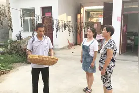 婆婆回乡下，挖12斤马齿苋，用土方法做干菜，公公说吃一年也不坏视频封面