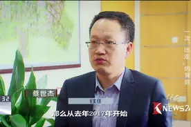 长三角一体化发展 向更高质量再出发 一次“出走”的背后视频封面