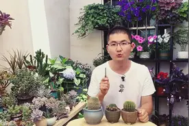 仙人球也怕晒，不看这个视频还真不知道视频封面