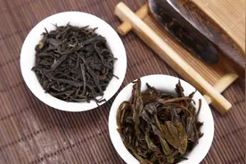 普洱茶对健康有好处，但爱喝普洱的人别过量，过量饮用伤身体视频封面