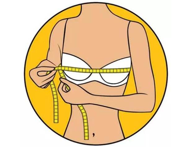 女生胸部大小怎么分abcd，罩杯abcd怎么分大小