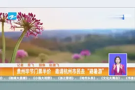 贵州毕节门票半价，邀请杭州市民去“避暑游”视频封面