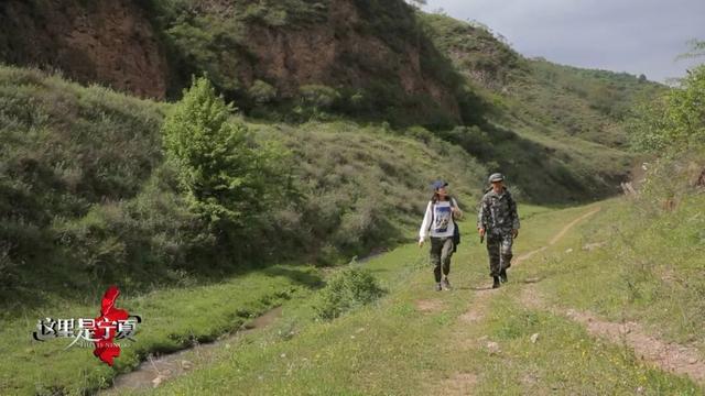 来泾源，你可以这样玩