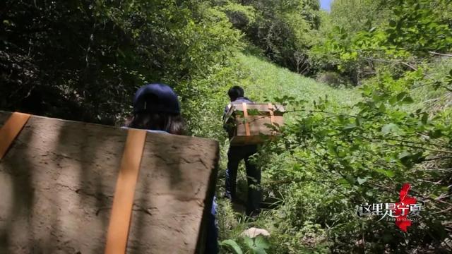 来泾源，你可以这样玩