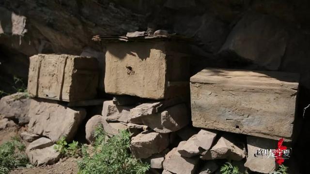 来泾源，你可以这样玩