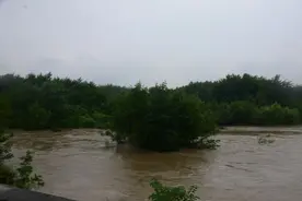 突然涨水！绵阳3名钓鱼者被困涪江图片